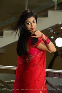 Hot Stills - Shriya Saran in Red Saree