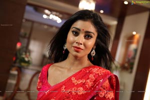 Hot Stills - Shriya Saran in Red Saree