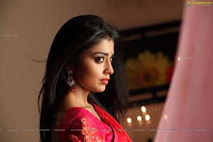 Hot Stills - Shriya Saran in Red Saree