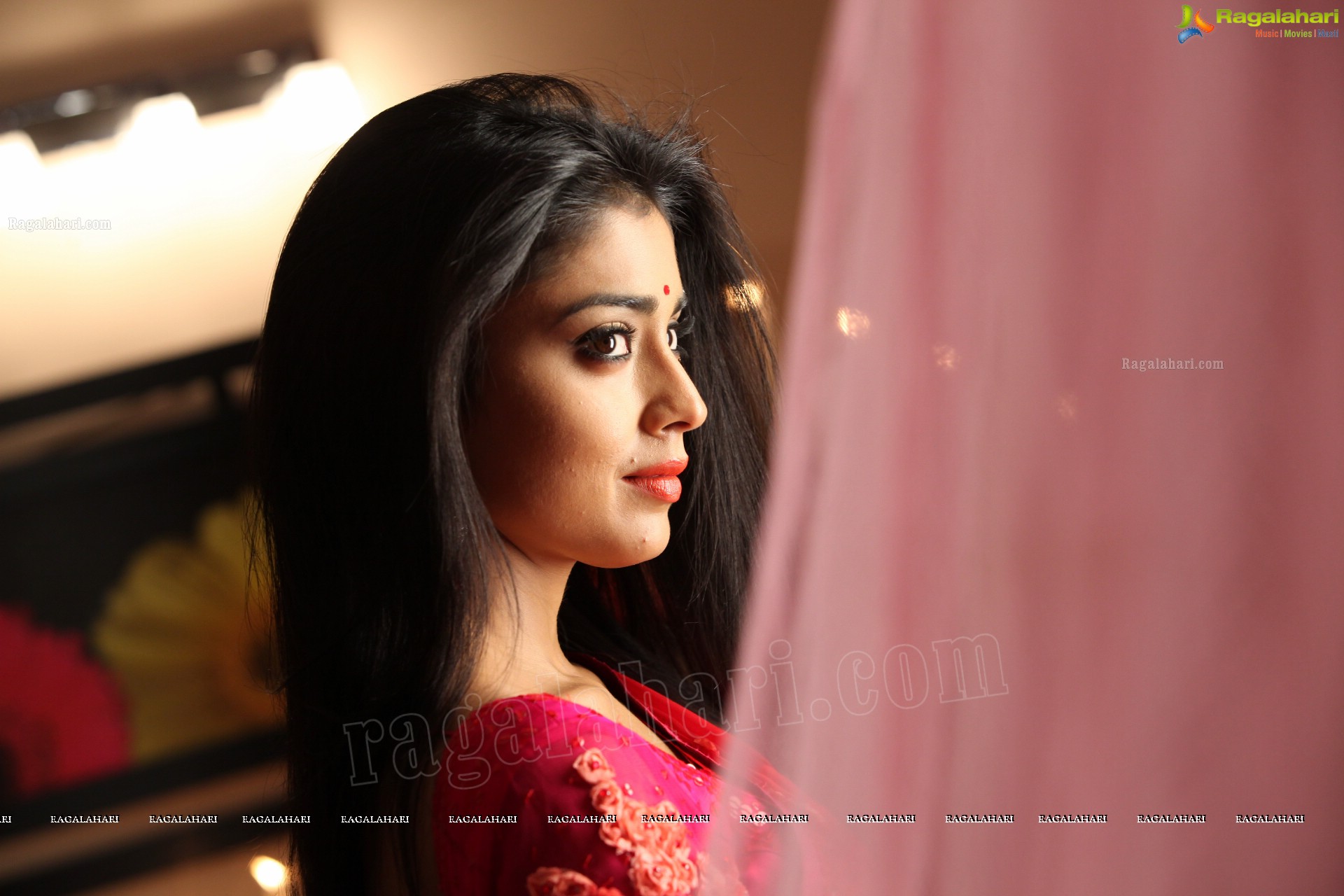 Shriya Saran (High Definition)