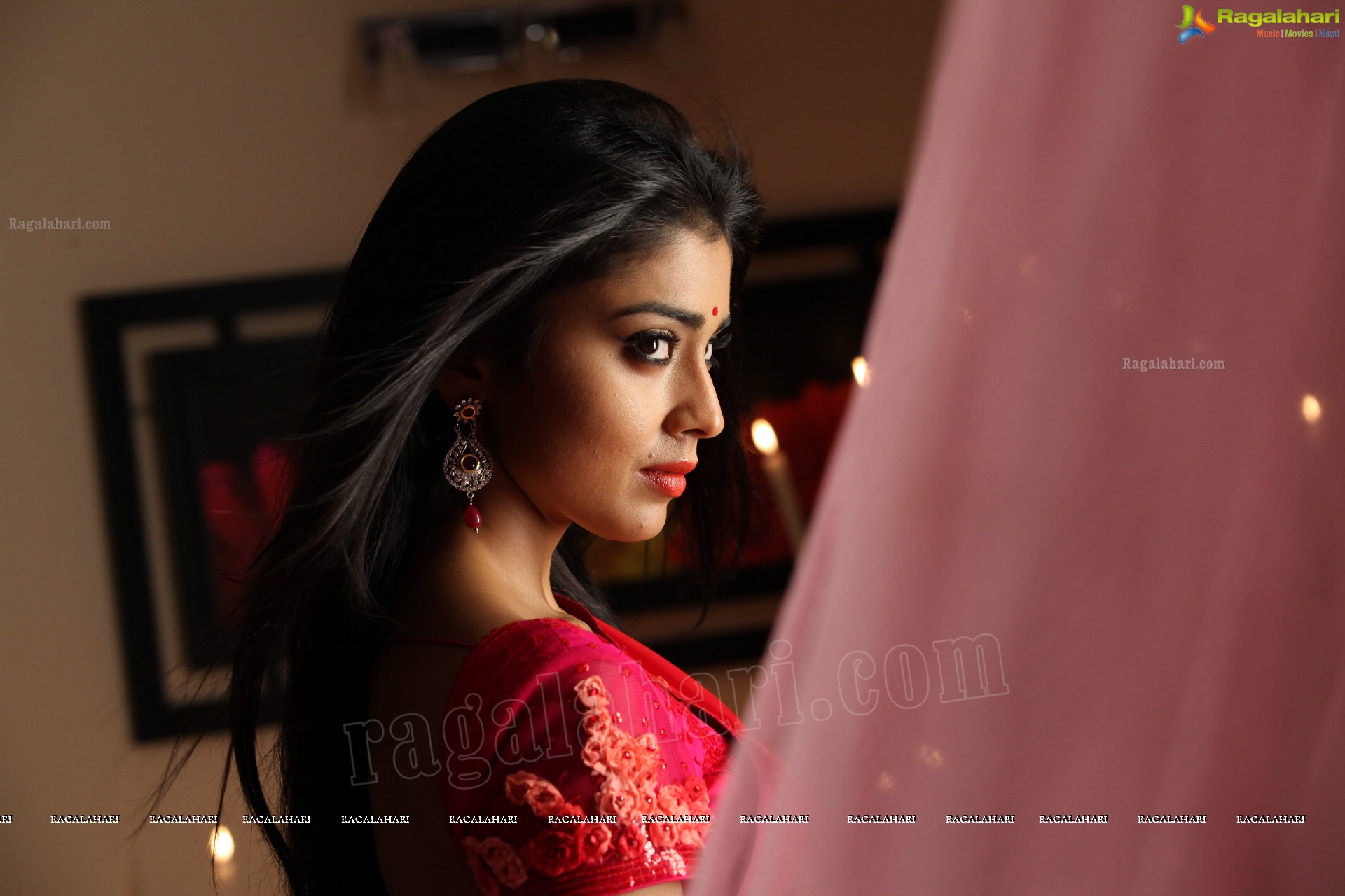 Shriya Saran (High Definition)