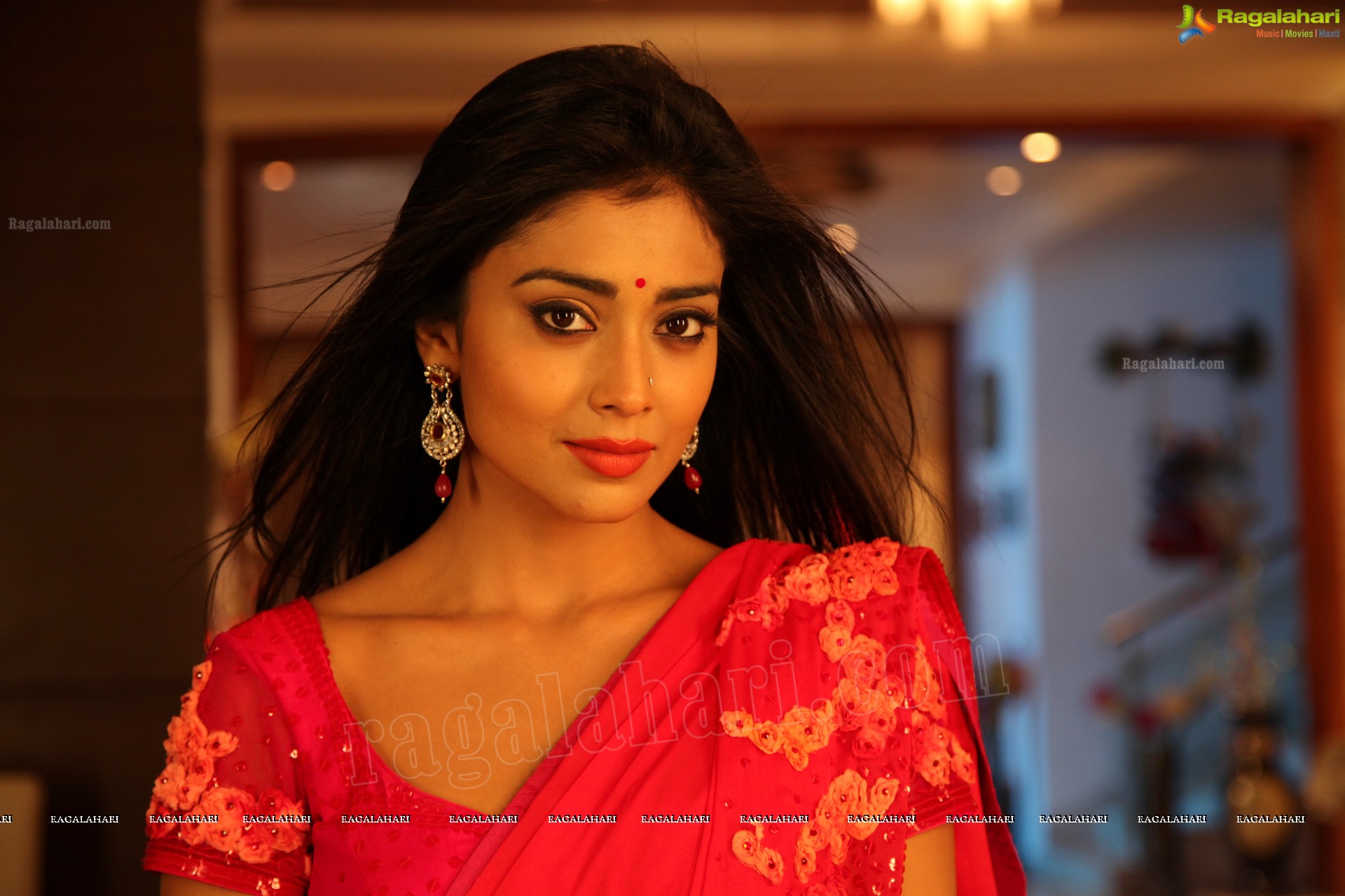 Shriya Saran (High Definition)