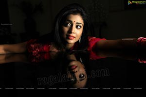 Hot Stills - Shriya Saran in Red Saree