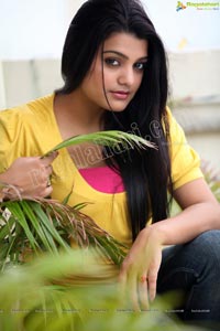 Bollywood Heroine Tashu Kaushik Exclusive Photos