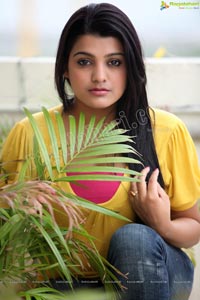 Bollywood Heroine Tashu Kaushik Exclusive Photos