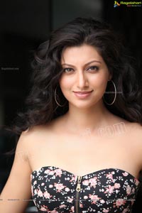 Hamsa Nandini Hot Stills