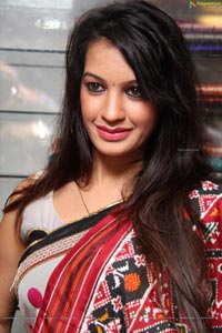 Diksha Panth in Saree Photos