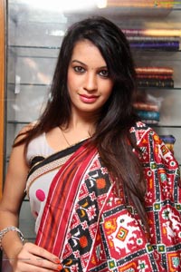 Diksha Panth in Saree Photos