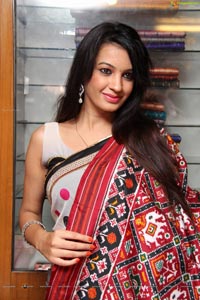 Diksha Panth in Saree Photos