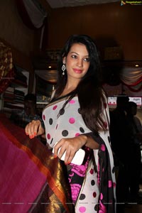 Diksha Panth in Saree Photos