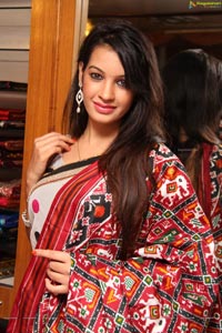 Diksha Panth in Saree Photos