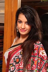 Diksha Panth in Saree Photos