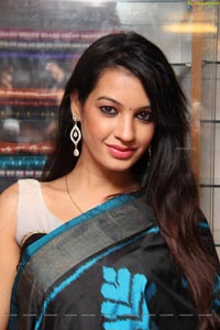 Diksha Panth in Saree Photos