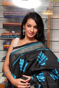 Diksha Panth in Saree Photos