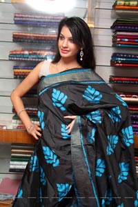 Diksha Panth in Saree Photos