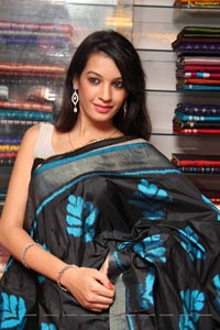 Diksha Panth in Saree Photos