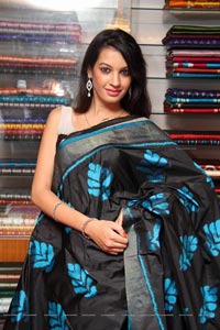 Diksha Panth in Saree Photos