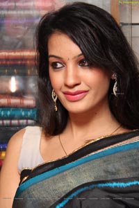 Diksha Panth in Saree Photos