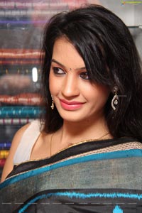 Diksha Panth in Saree Photos