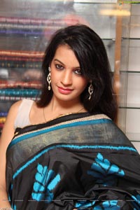 Diksha Panth in Saree Photos