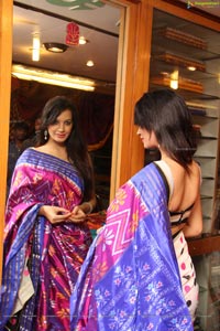 Diksha Panth in Saree Photos
