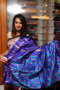 Diksha Panth in Saree Photos