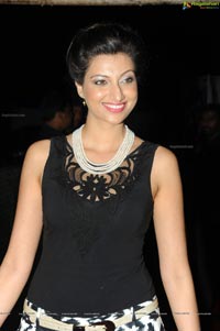 Hamsa Nandini at Attharintiki Daaredhi Audio