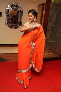 Monika Singh in Saree