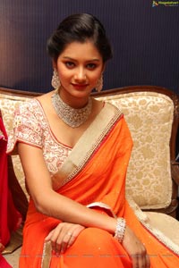 Monika Singh in Saree