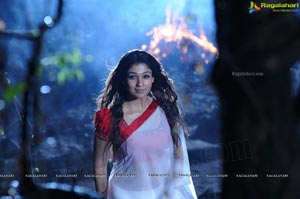 Nayanatara in Krishnam Vande Jagadgurum