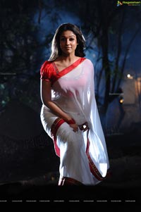 Nayanatara in Krishnam Vande Jagadgurum