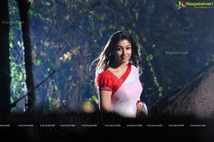 Nayanatara in Krishnam Vande Jagadgurum