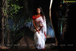 Nayanatara in Krishnam Vande Jagadgurum