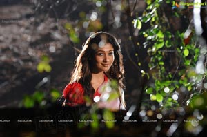 Nayanatara in Krishnam Vande Jagadgurum