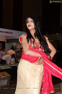 Dimple at Times Gehana Exhibition 2013