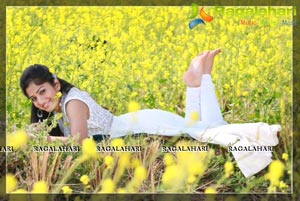 Madhavi Latha Exclusive Portfolio Pics