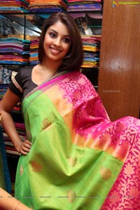 Richa Gangopadhyay in Saree