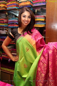 Richa Gangopadhyay in Saree