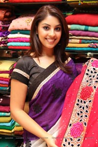 Richa Gangopadhyay in Saree