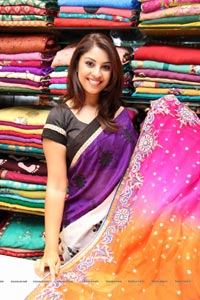 Richa Gangopadhyay in Saree