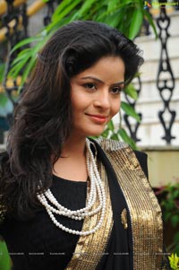 Vandana Vasisth in Black Saree