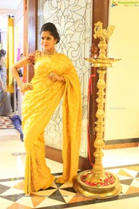 Anukriti Govind Sharma in Saree