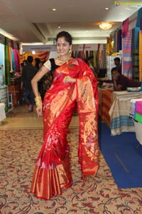 Anukriti Govind Sharma in Saree