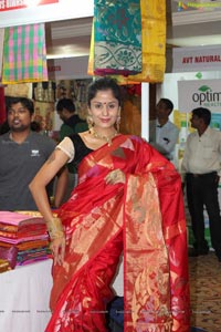 Anukriti Govind Sharma in Saree