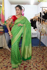 Anukriti Govind Sharma in Saree