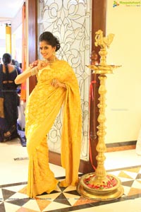 Anukriti Govind Sharma in Saree