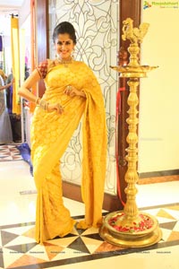 Anukriti Govind Sharma in Saree