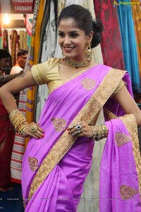 Anukriti Govind Sharma in Saree