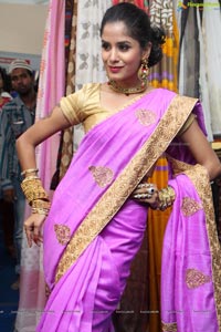 Anukriti Govind Sharma in Saree