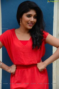 Bangalore Actress Samyukta Hornad